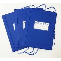 Cặp 3 dây TL loại 1 xi xanh